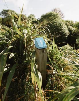 A section of the Sawmill trail in Waimapihi Reserve overlooking the Wellington Harbour.