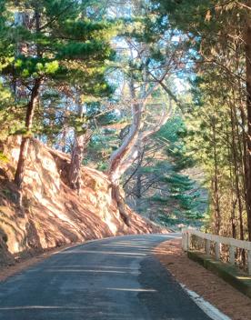 A quaint seaside village at the base of dramatic cliffs, Mākara is just 30 minutes from Wellington’s city centre. On its rugged western coast is a seaside village and a gently sloping, stony beach.