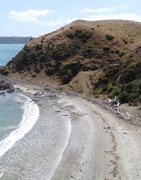 A secluded, sheltered beach located on private farmland. Pikarere Beach is a hidden inlet off Open Bay, just 5 kilometres from Porirua’s city centre.