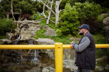 Wellingtonian Allan Henry, who plays the bear in ‘Cocaine Bear’ standing beside the Sun Bear enclosure at the Wellington Zoo.