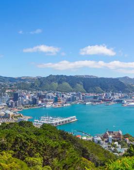 Panoramic view from the top of Mount Victoria looking across Wellington harbour. The sea is surrounded by central city buildings, and rolling green hills.