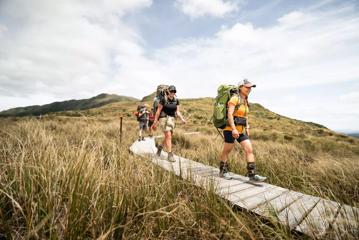 Four hikers walk along a wooden path surrounded by tall grass.