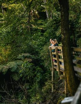 3 people leaning against a boardwalk rail admiring the view in the native bush of Te Whiti Riser.