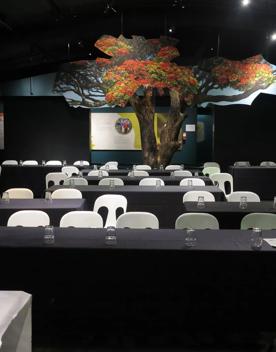 A dimly lit room inside Zealandia venues, with roughly 50 chairs seated at tables facing towards the projector, and a cut out of a Pohutukawa tree in the centre of the room.