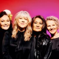 The four members of When the Cat's Away, a New Zealand female vocal group, supergroup and covers band formed in 1985, wearing black standing in front of a fuchsia-coloured screen.
