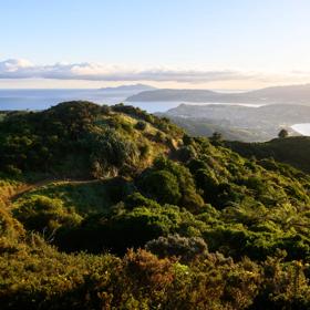The view of Porirua Harbour from Rangituhi / Colonial Knob Walkway.