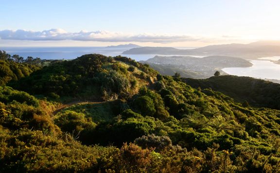 The view of Porirua Harbour from Rangituhi / Colonial Knob Walkway.