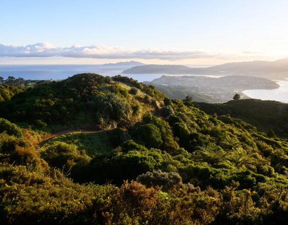 The view of Porirua Harbour from Rangituhi / Colonial Knob Walkway.