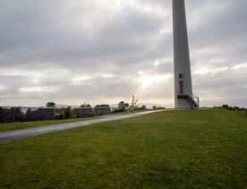 The Brooklyn Wind Turbine sits on a hill above Wellington, with views of the city. Bush and trees surround the area.