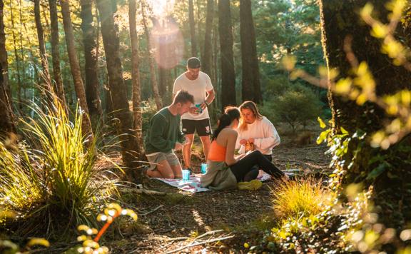 Group of friends taking a break from walking and laying out a small picnic in the middle of a forest at Butterfly Creek.