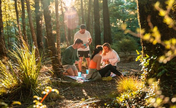Group of friends taking a break from walking and laying out a small picnic in the middle of a forest at Butterfly Creek.