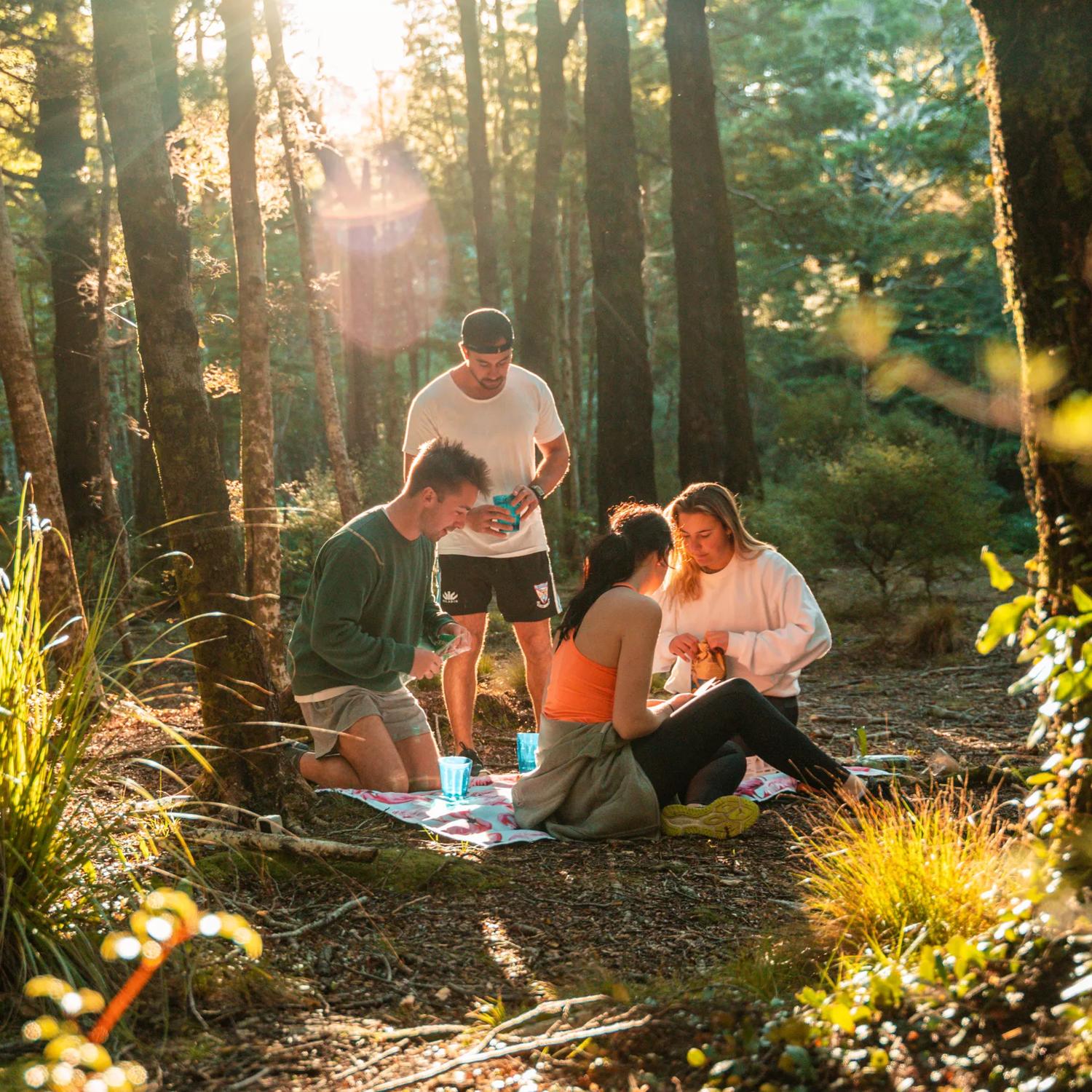 Group of friends taking a break from walking and laying out a small picnic in the middle of a forest at Butterfly Creek.