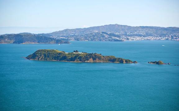 Matiu Somes Island in the Wellington Harbour.