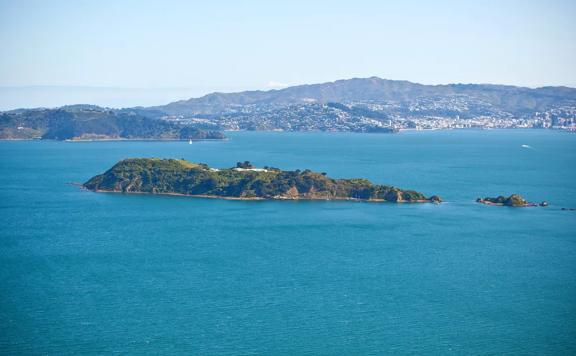 Matiu Somes Island in the Wellington Harbour. 