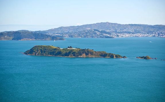 Matiu Somes Island in the Wellington Harbour.