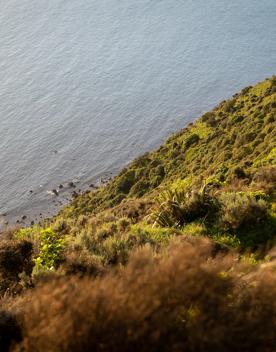 A short drive from the city is a stunning venue. Perched on a rugged coastline, it has sweeping views over the Cook Strait and the South Island.
