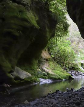 Patuna Chasm, a cave system in a gorge of a river cutting through limestone cliff.