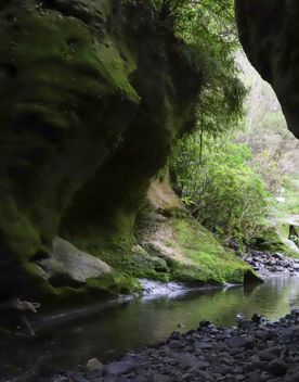 Patuna Chasm, a cave system in a gorge of a river cutting through limestone cliff.