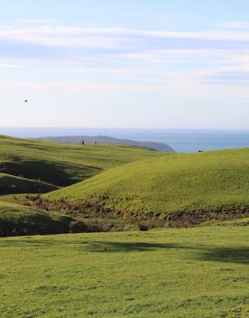 A rural setting with panoramic seascapes, Pikarere Farm is an iconic sheep and beef station overlooking Titahi Bay in Porirua, New Zealand.