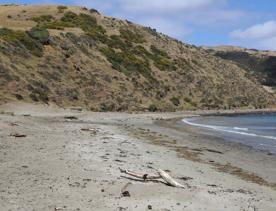 A secluded, sheltered beach located on private farmland. Pikarere Beach is a hidden inlet off Open Bay, just 5 kilometres from Porirua’s city centre.