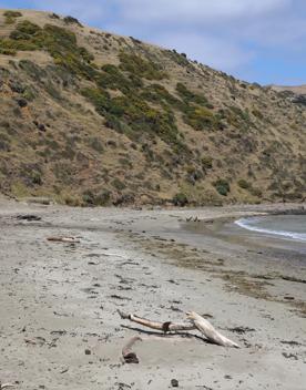 A secluded, sheltered beach located on private farmland. Pikarere Beach is a hidden inlet off Open Bay, just 5 kilometres from Porirua’s city centre.