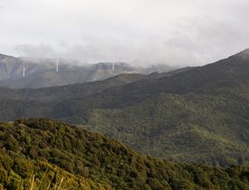 The Wrights Hill Fortress screen location, located in Karori overlooking Wellington from an old gun emplacement. The location includes historic monuments, underground landmarks, and tunnels.