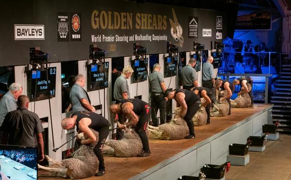 Shearing competition enters new era - WellingtonNZ