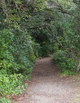 The Kiriwhakapapa Road Tararua Forest Park screen location, featuring walking trails and campsite opportunities in wild, natural landscapes.