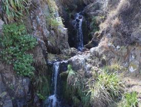 A secluded, sheltered beach located on private farmland. Pikarere Beach is a hidden inlet off Open Bay, just 5 kilometres from Porirua’s city centre.