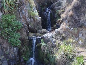 A secluded, sheltered beach located on private farmland. Pikarere Beach is a hidden inlet off Open Bay, just 5 kilometres from Porirua’s city centre.