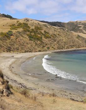 A secluded, sheltered beach located on private farmland. Pikarere Beach is a hidden inlet off Open Bay, just 5 kilometres from Porirua’s city centre.