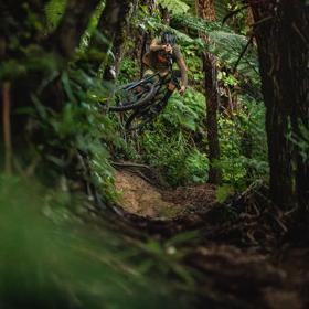 A mountain biker jumps on a dirt track amongst trees on Morepork trail in Wainuiomata Park.