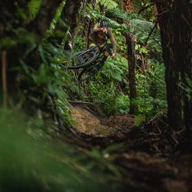 A mountain biker jumps on a dirt track amongst trees on Morepork trail in Wainuiomata Park.
