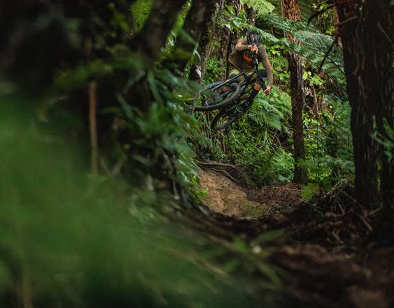 A mountain biker jumps on a dirt track amongst trees on Morepork trail in Wainuiomata Park.