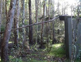 Mangaroa Valley Road screen location, a scenic rural setting with native forest, farmland, and a mountainous backdrop.