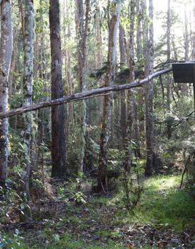 Mangaroa Valley Road screen location, a scenic rural setting with native forest, farmland, and a mountainous backdrop.