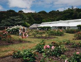 An adult and two kids enjoy the rose garden at Wellington Botanic Garden.