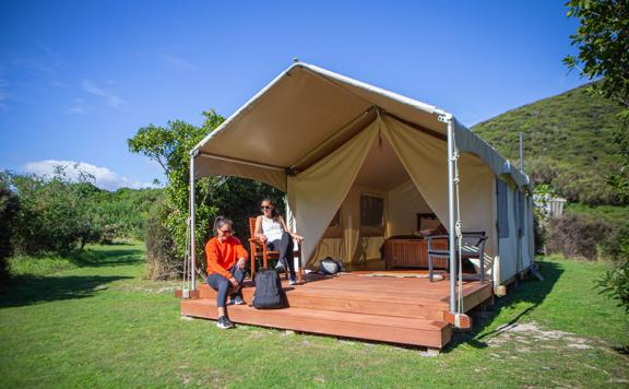 2 poeple sit outside in the sun, on thre balcony of their tent cabin, on Kapiti Island.