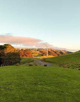 The screen location of West Wind Farm and Mākara Bunker at sunset, with 360 views of Wellington and the wind farm, as well as the historic fort Opau.