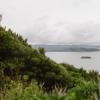 The MacKenzie Road Track in East Harbour Regional Park zigzags through regenerating bush with views of the harbour.