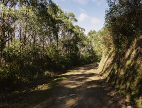 A section of the Rough Justice mountain bike track on Ngā Ara o Rangituhi, in Porirua.