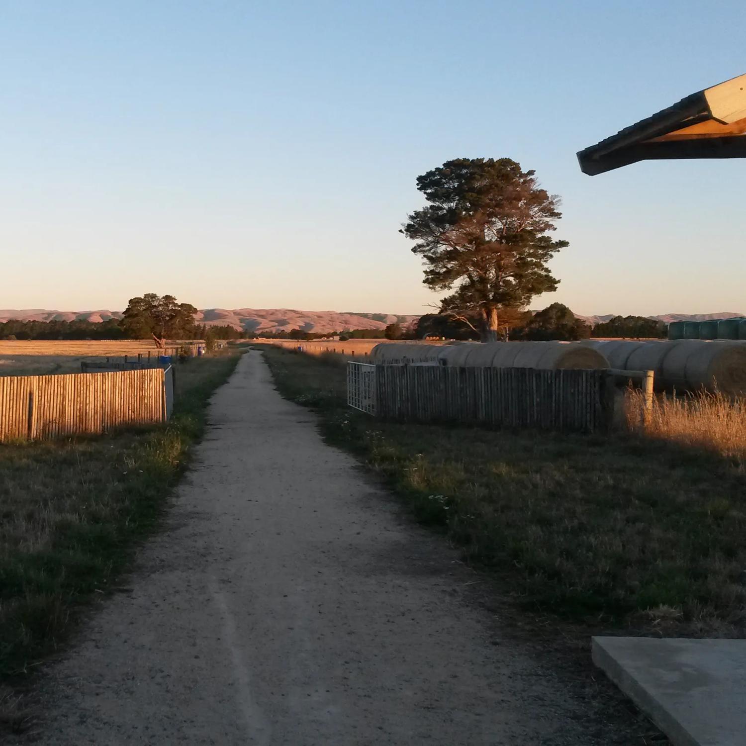 A dirt path cuts through green grass and hay paddocks on the Greytown to Woodside trail.