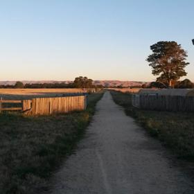 A dirt path cuts through green grass and hay paddocks on the Greytown to Woodside trail.
