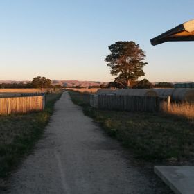 A dirt path cuts through green grass and hay paddocks on the Greytown to Woodside trail.