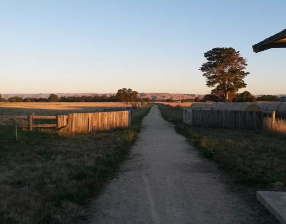 A dirt path cuts through green grass and hay paddocks on the Greytown to Woodside trail.