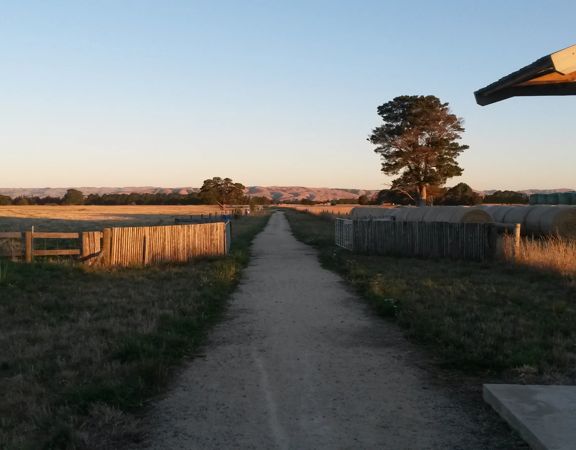 A dirt path cuts through green grass and hay paddocks on the Greytown to Woodside trail.