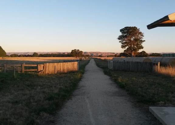 A dirt path cuts through green grass and hay paddocks on the Greytown to Woodside trail.