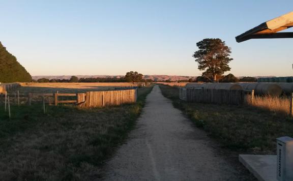A dirt path cuts through green grass and hay paddocks on the Greytown to Woodside trail.