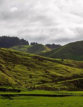 The screen location of Waitohu Valley Ōtaki, features native and exotic forests, pastoral lands, and wetlands.