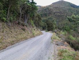 The Kiriwhakapapa Road Tararua Forest Park screen location, featuring walking trails and campsite opportunities in wild, natural landscapes.